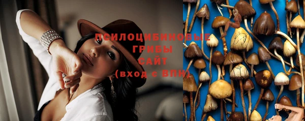ECSTASY Аркадак