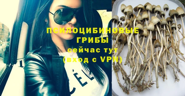 МДМА Арсеньев