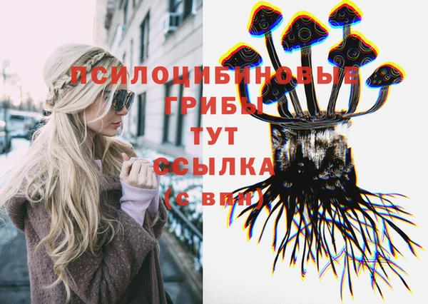 герыч Алексеевка